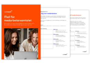 Ett utdrag ur mallen medarbetarsamtalet